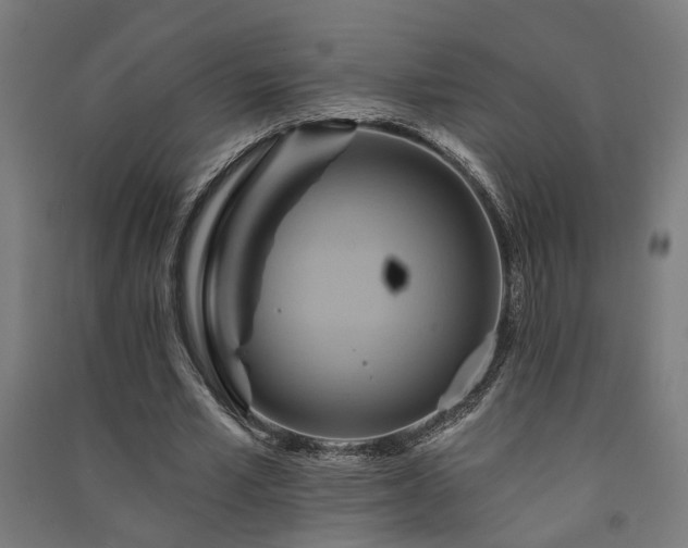 X0000091590581200708201232