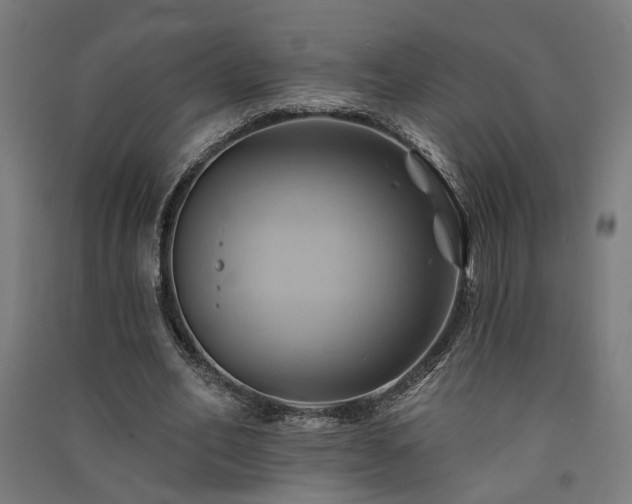 X0000091590582200708201232
