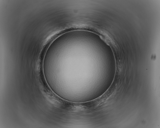 X0000091590583200708201232
