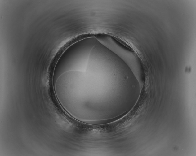 X0000091590584200708201232