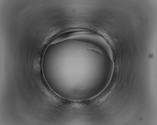 X0000091590585200708201232
