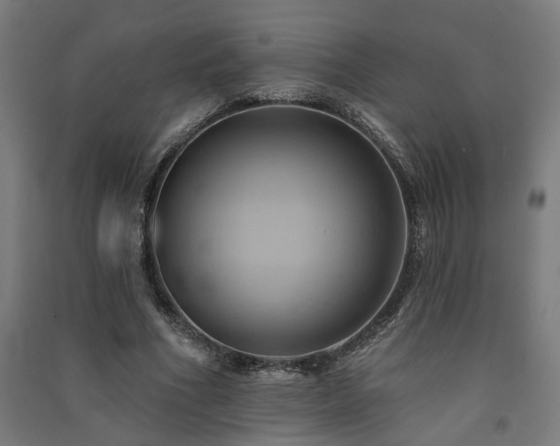 X0000091590586200708201232
