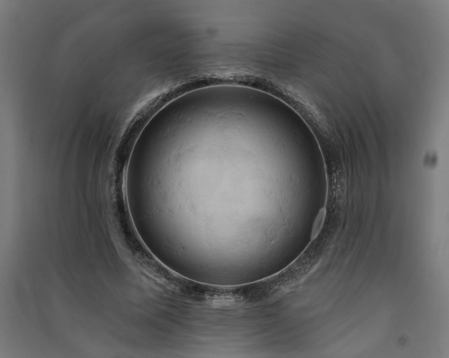X0000091590587200708201231