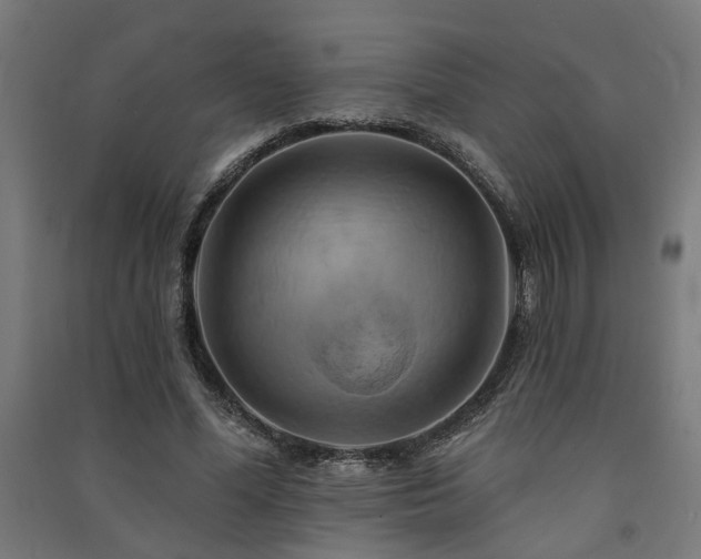 X0000091590588200708201231