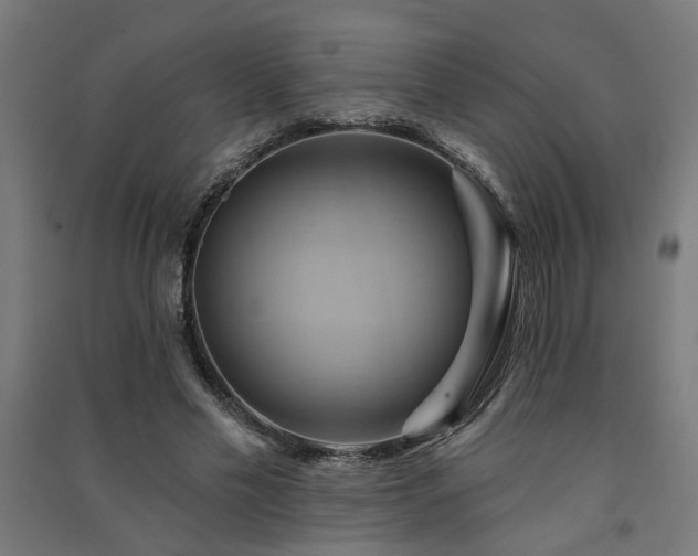 X0000091590589200708201231