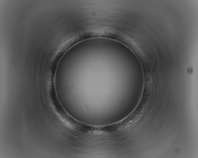 X0000091590590200708201231