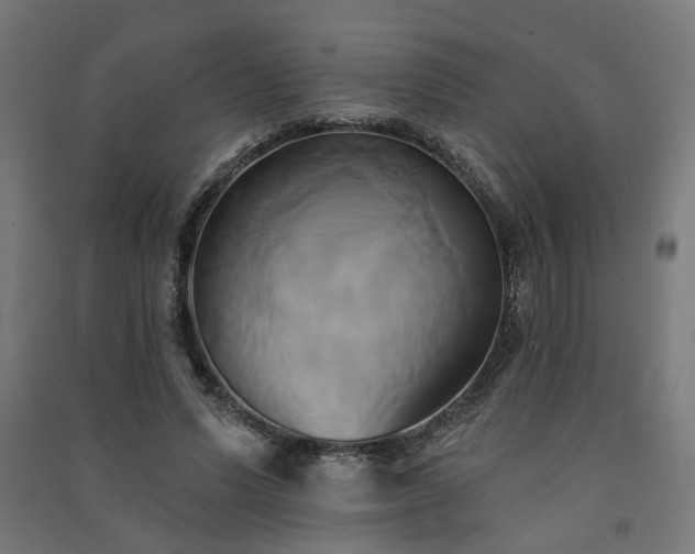 X0000091590591200708201231