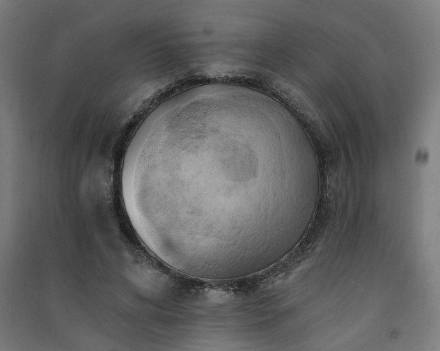 X0000091590592200708201231