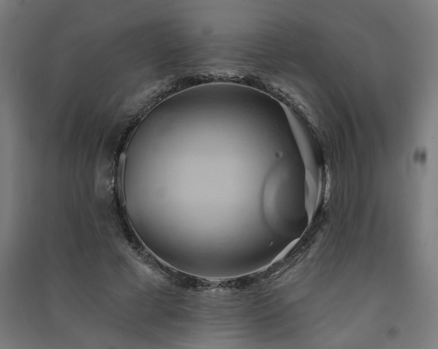 X0000091590593200708201231