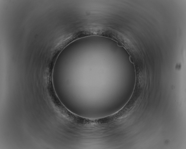 X0000091590594200708201231