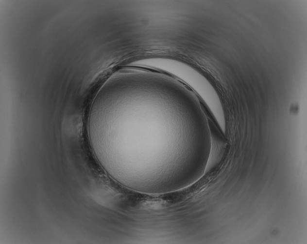 X0000091590595200708201231
