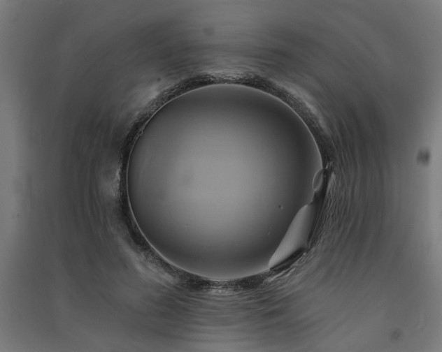 X0000091590596200708201231