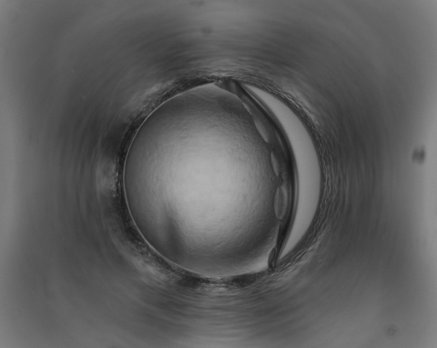 X0000091590597200708201231