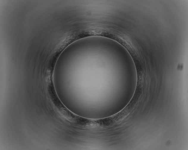 X0000091590598200708201231
