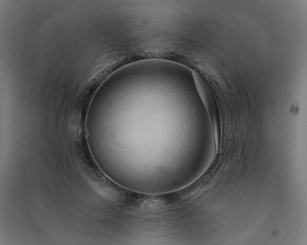 X0000091590599200708201231