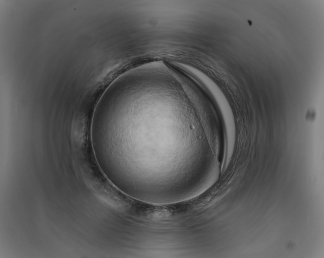 X0000091590600200708201231