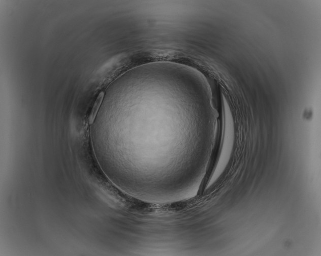 X0000091590601200708201231