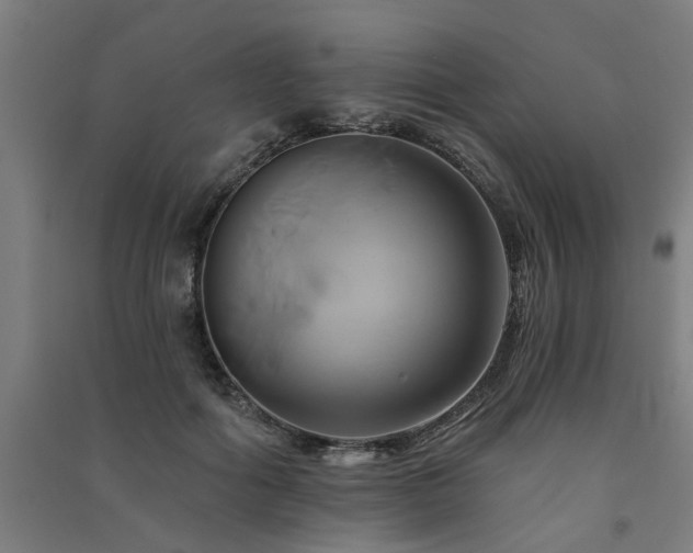 X0000091590602200708201231