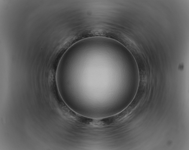 X0000091590603200708201231