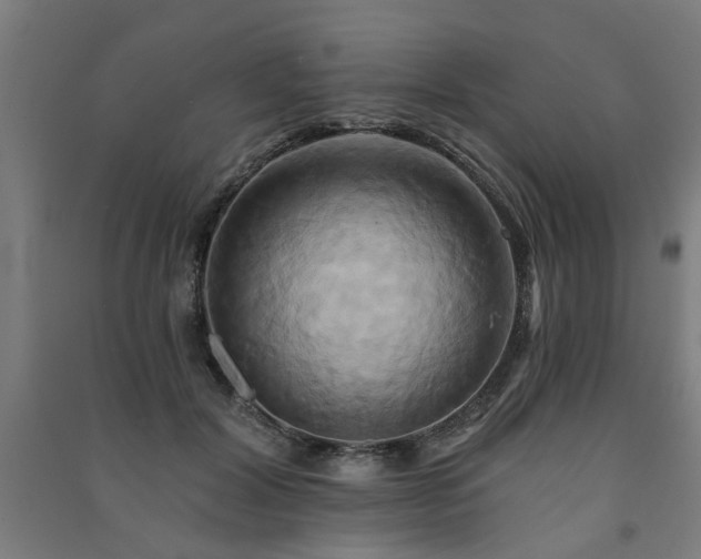 X0000091590604200708201231
