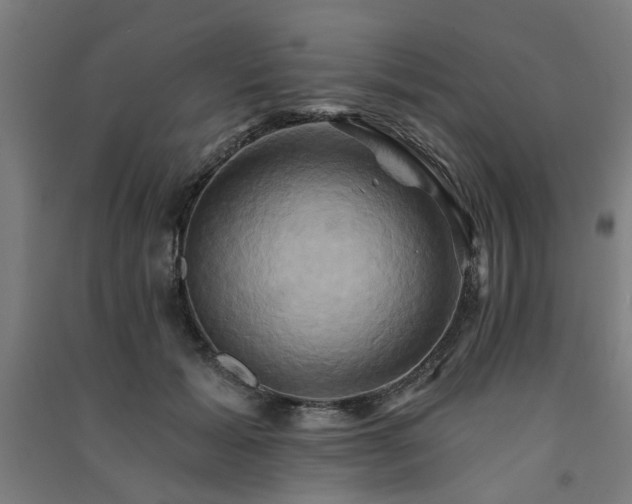 X0000091590605200708201231