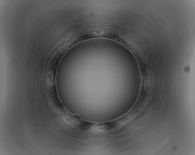 X0000091590606200708201231