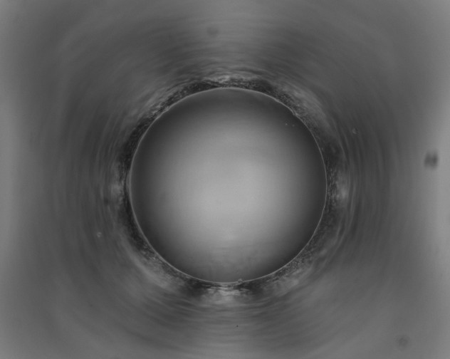 X0000091590607200708201231