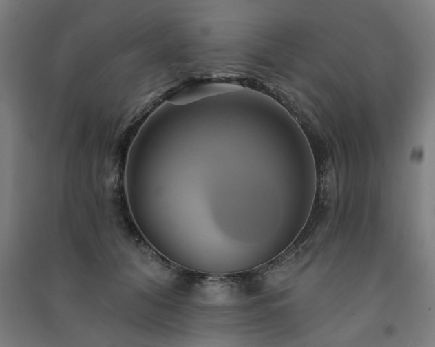 X0000091590608200708201231