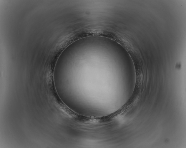 X0000091590609200708201231