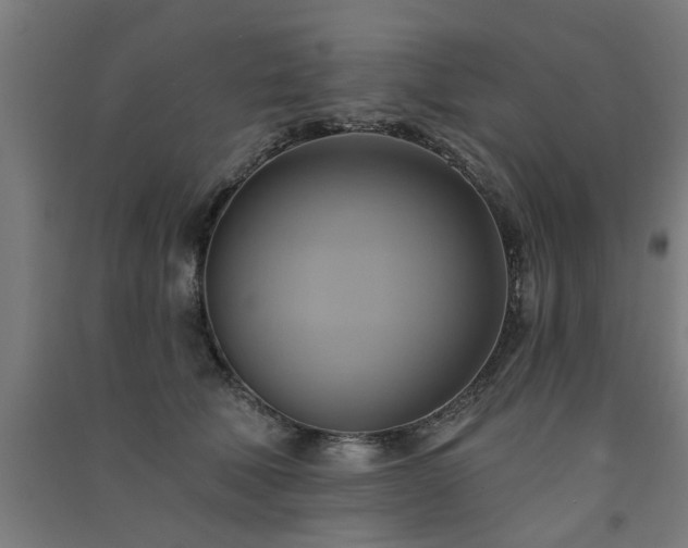 X0000091590610200708201231