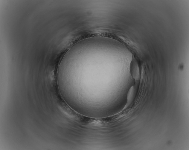 X0000091590611200708201231