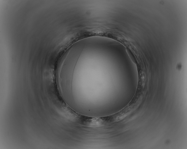 X0000091590612200708201231