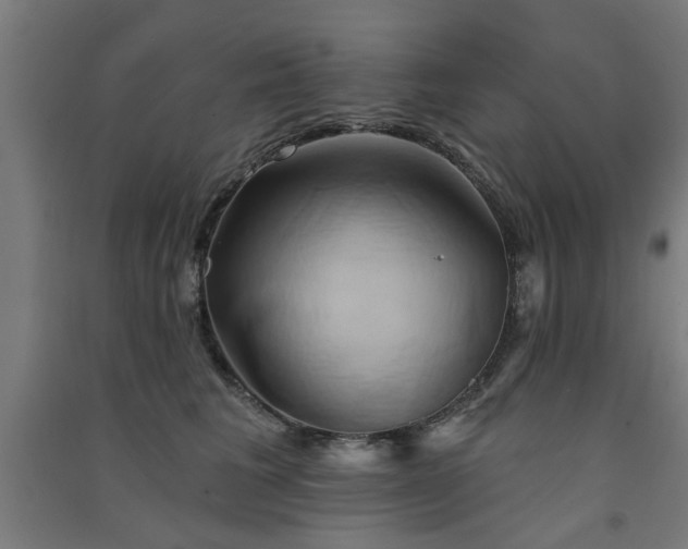 X0000091590613200708201231