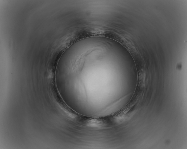 X0000091590614200708201231