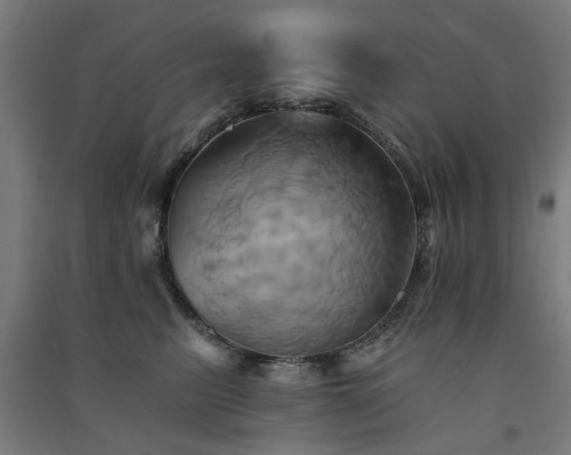 X0000091590615200708201231