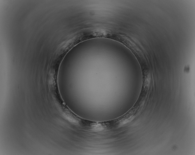 X0000091590616200708201231