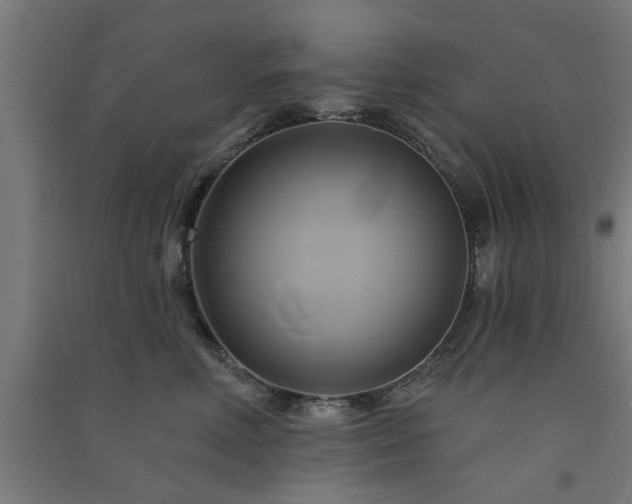 X0000091590618200708201231