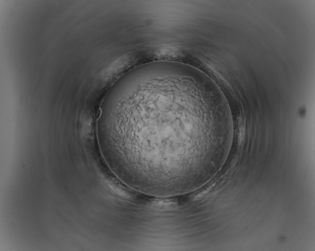 X0000091590619200708201231