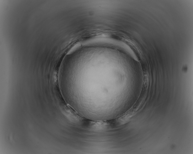X0000091590621200708201231