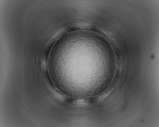X0000091590622200708201231
