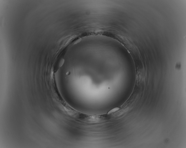 X0000091590623200708201231
