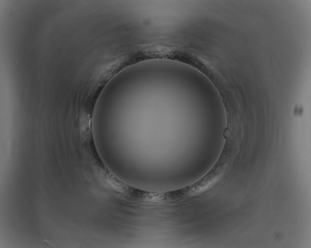 X0000091590624200708201231