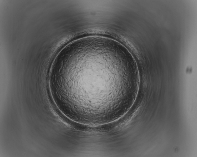 X0000091590625200708201230