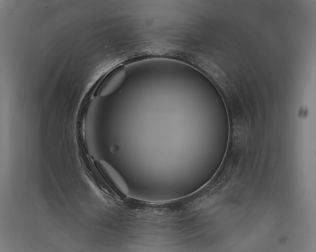 X0000091590626200708201230