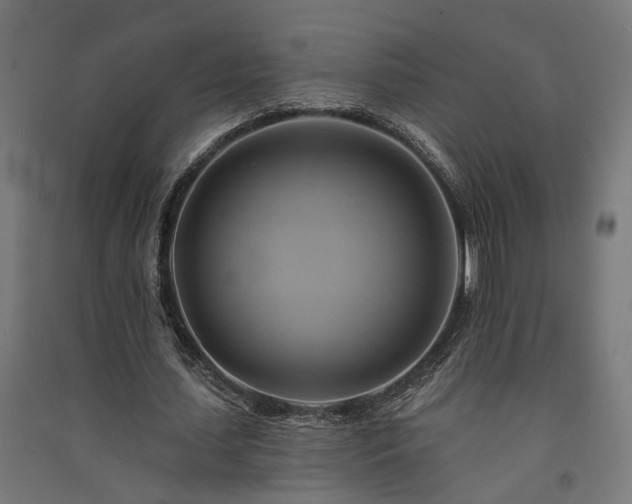 X0000091590627200708201230