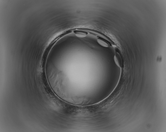 X0000091590628200708201230