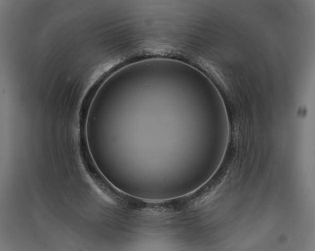X0000091590630200708201230
