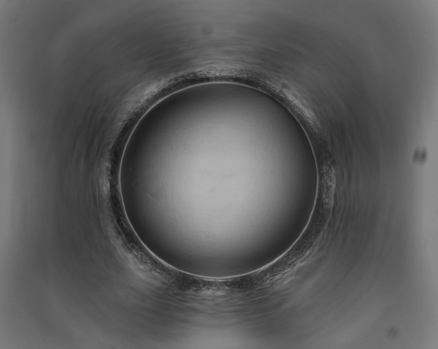 X0000091590631200708201230