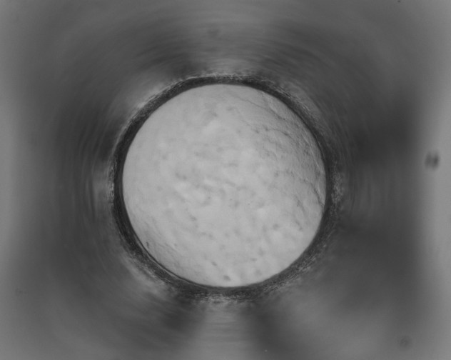 X0000091590632200708201230