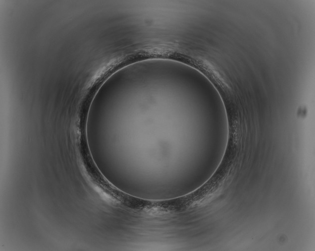 X0000091590634200708201230